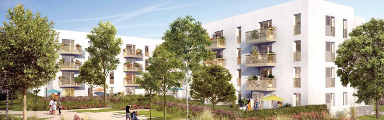 programme immobilier