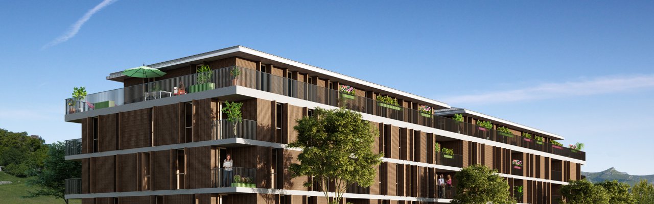 programme immobilier