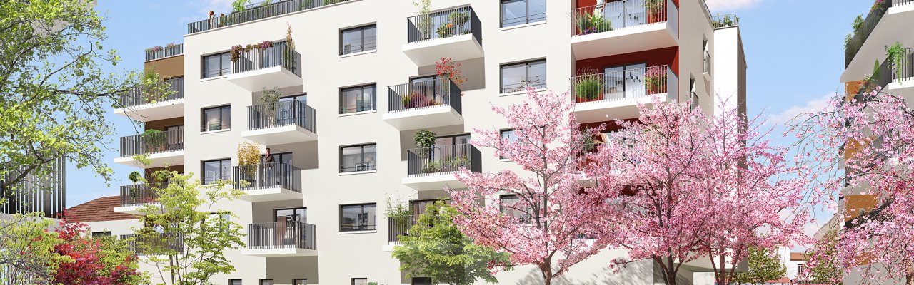 programme immobilier