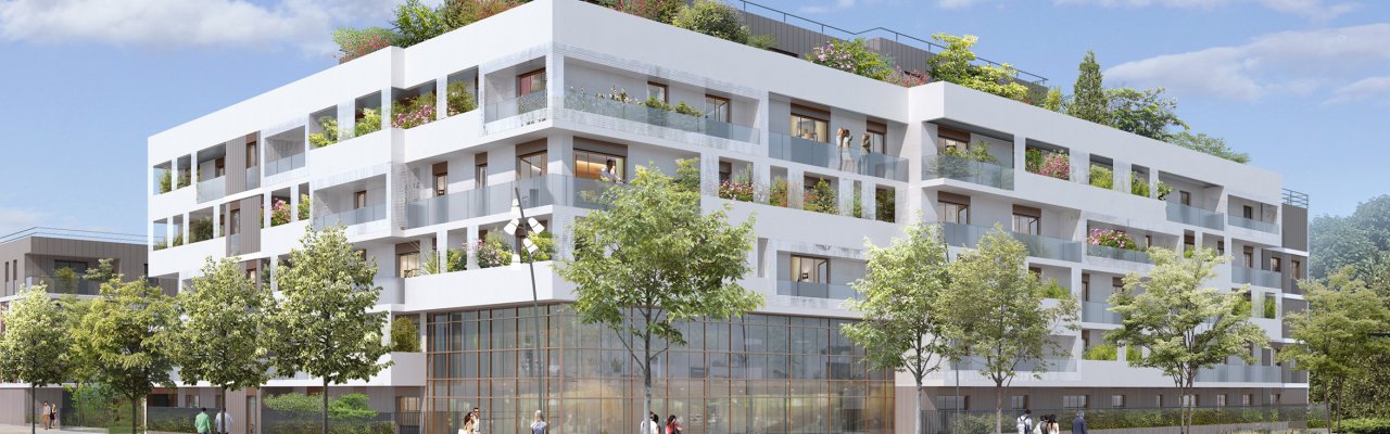 programme immobilier