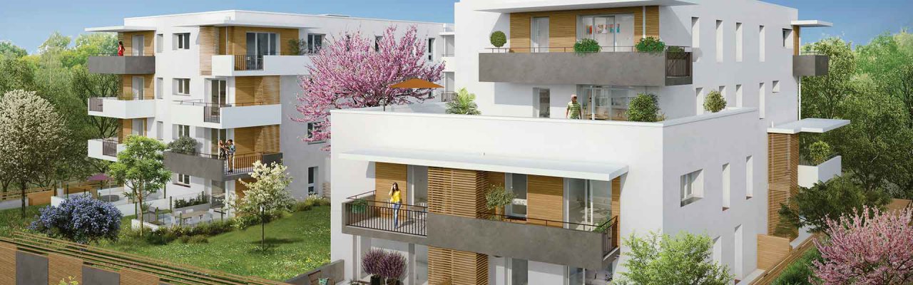 programme immobilier