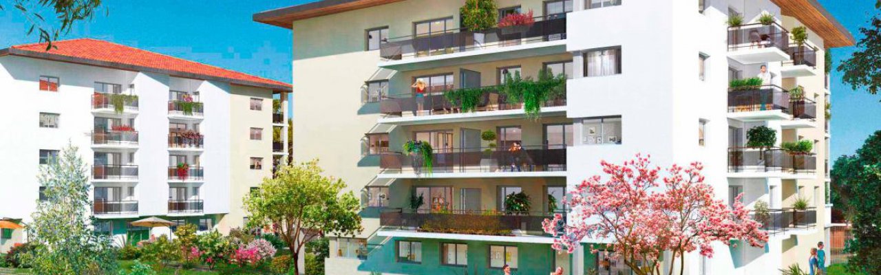 programme immobilier